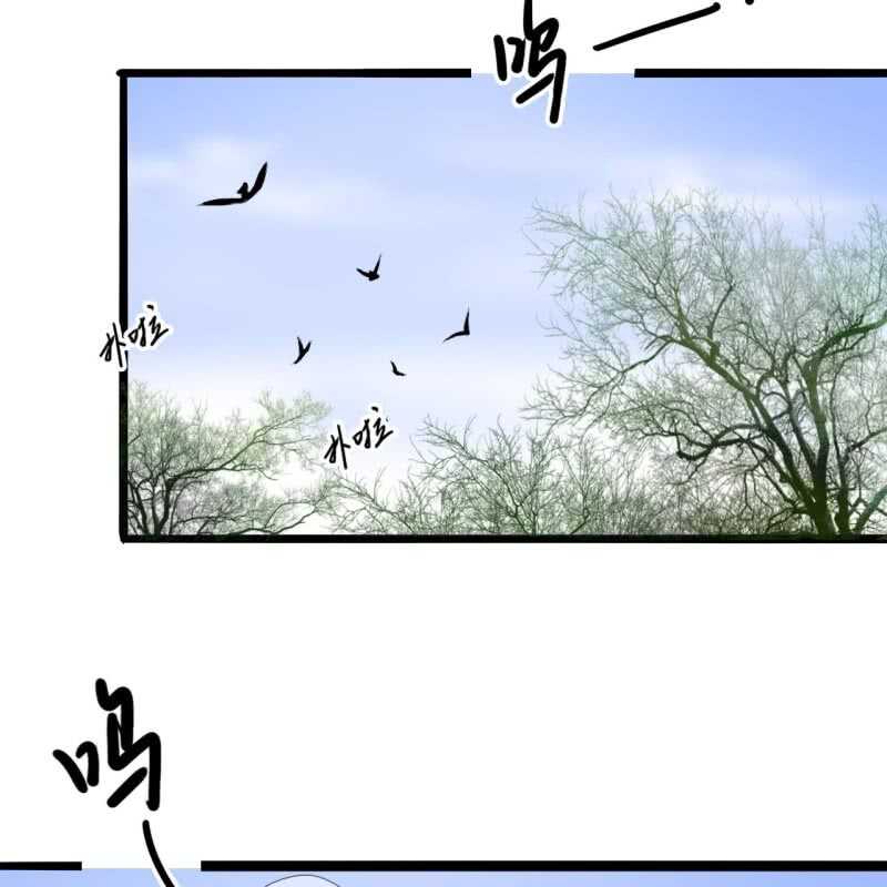 第164话 埋伏-第166话