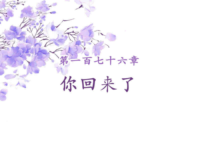 第176话 你回来了(1/2)-第180话