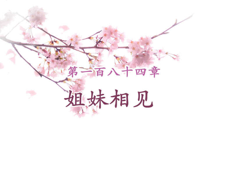 第184话 姐妹相见(1/2)-第188话