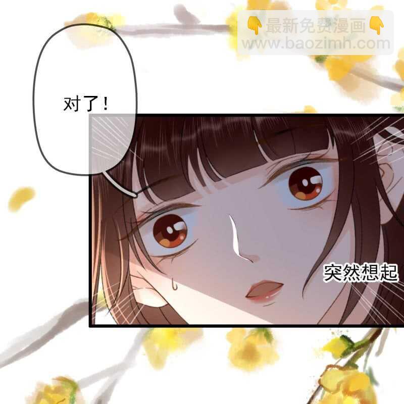 王的寵妃 - 第184話 姐妹相見(1/2) - 3