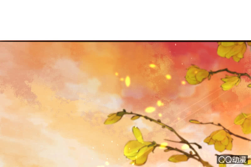 第19话(1/2)-第20话