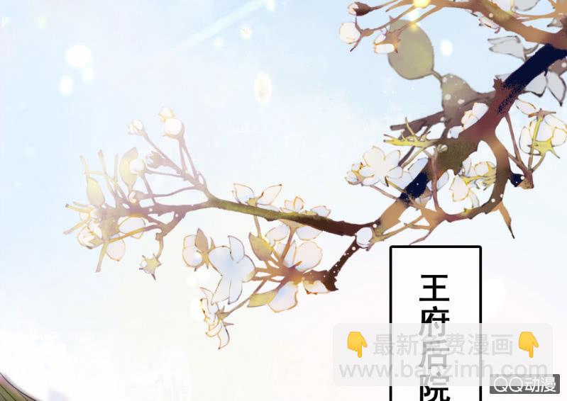 第23话(1/2)-第24话