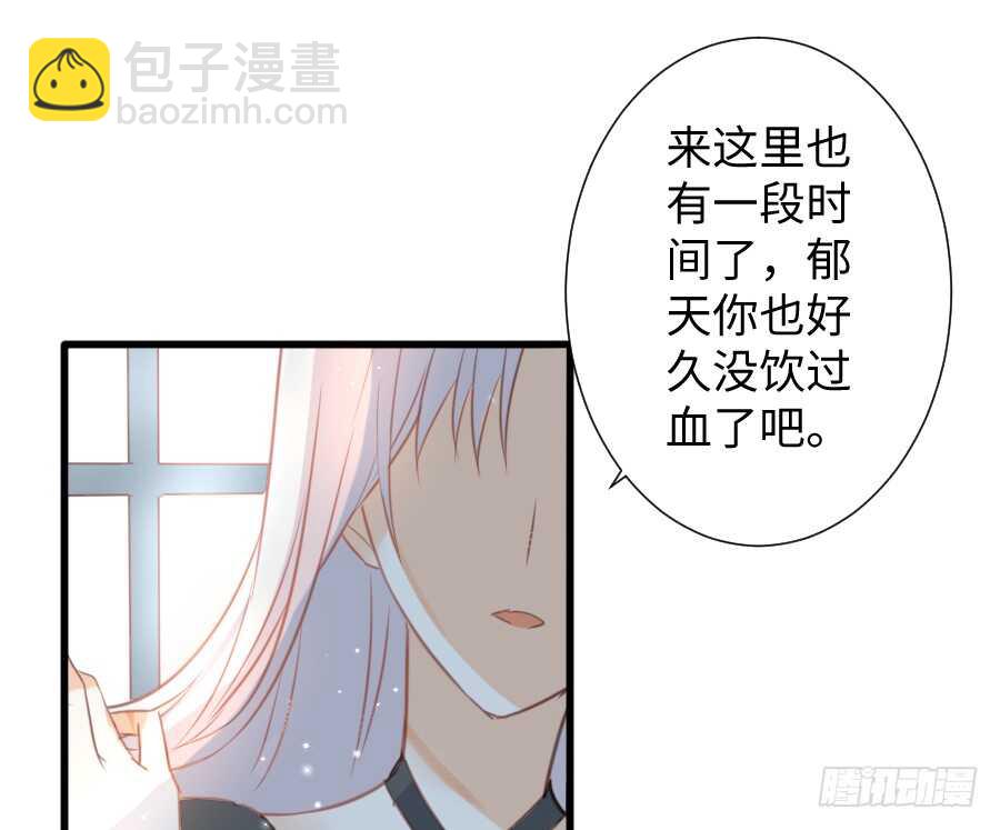 巧克力的心意(1/2)-第50话