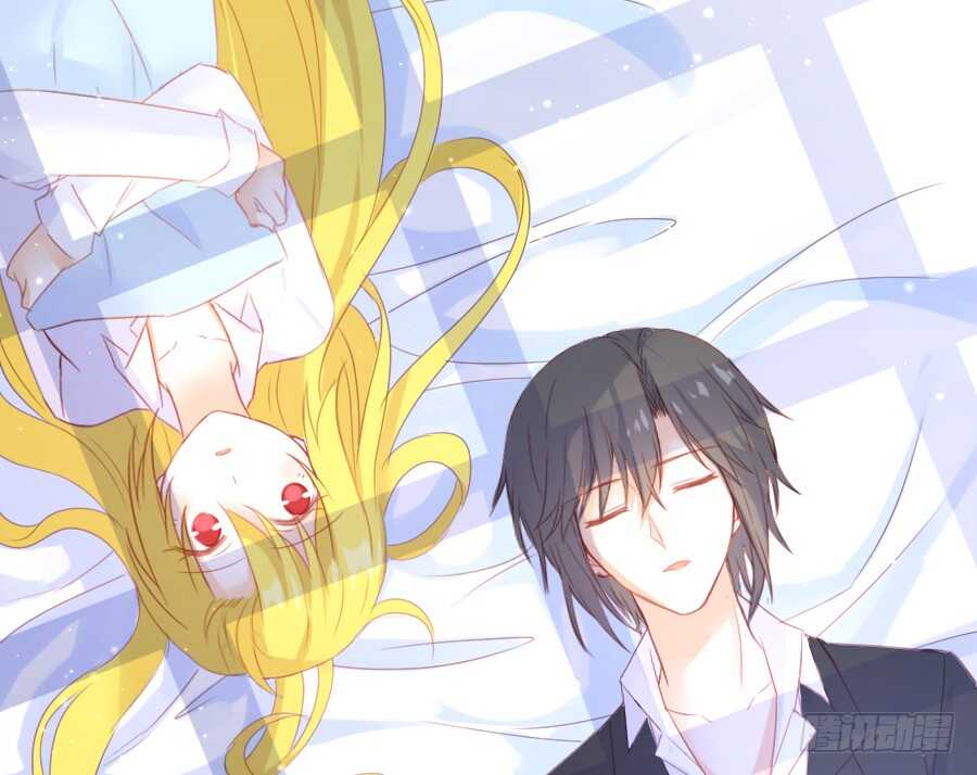 笨蛋的爱情(1/2)-第52话