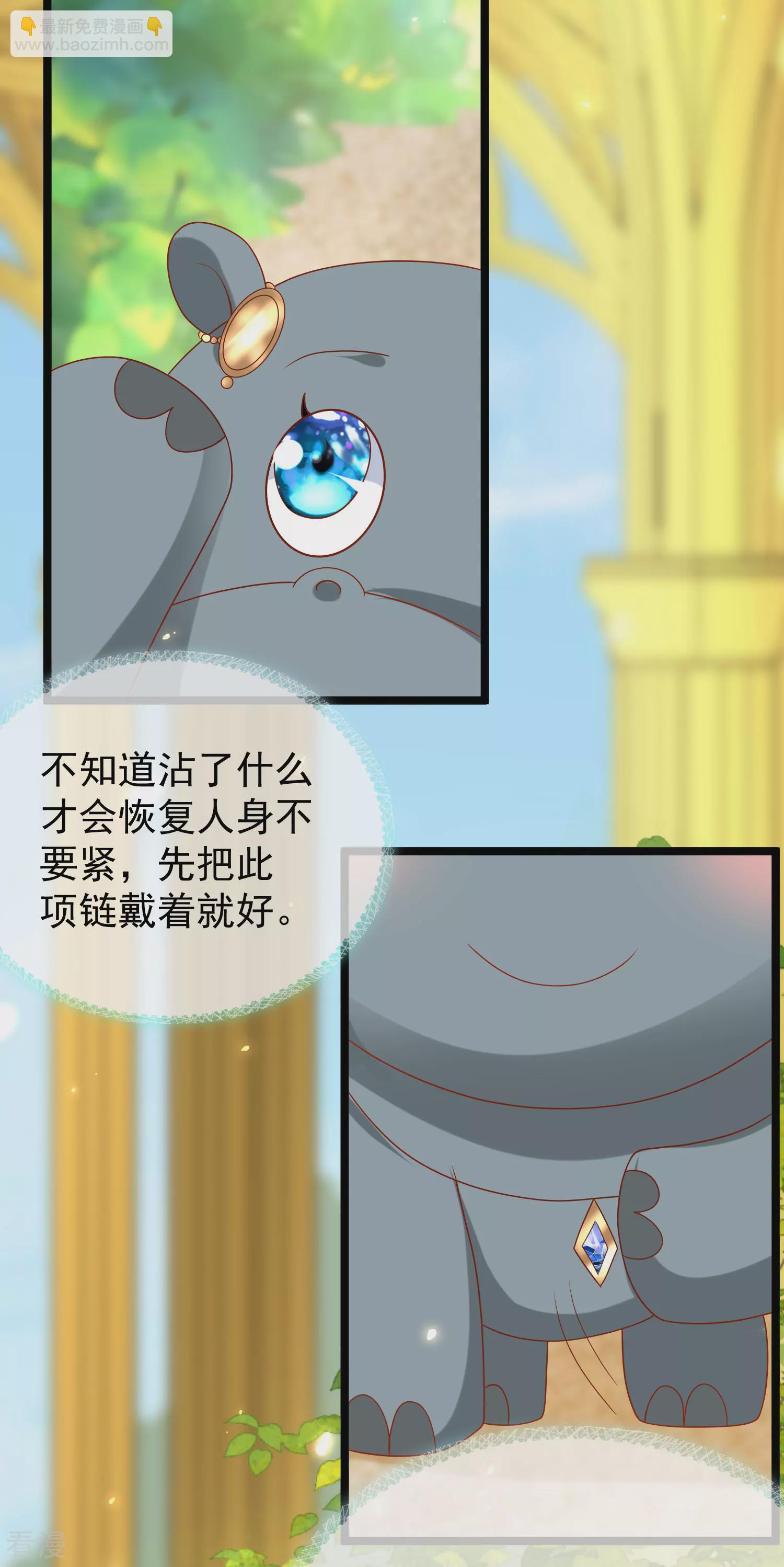 王的第一寵後 - 第123話 溼身共浴了？對象不對啊！ - 3