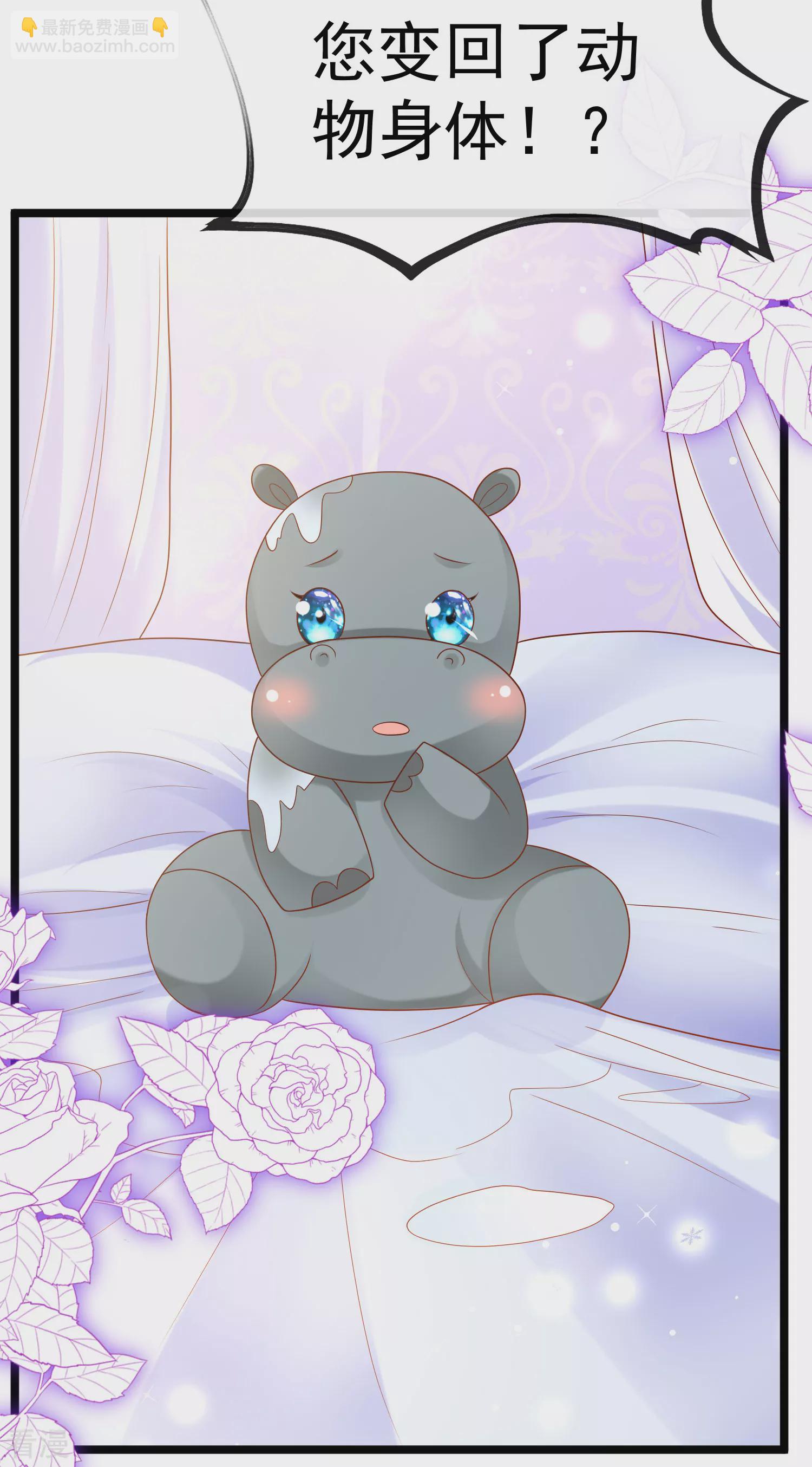 王的第一寵後 - 第127話 王的美夢碎了…… - 1