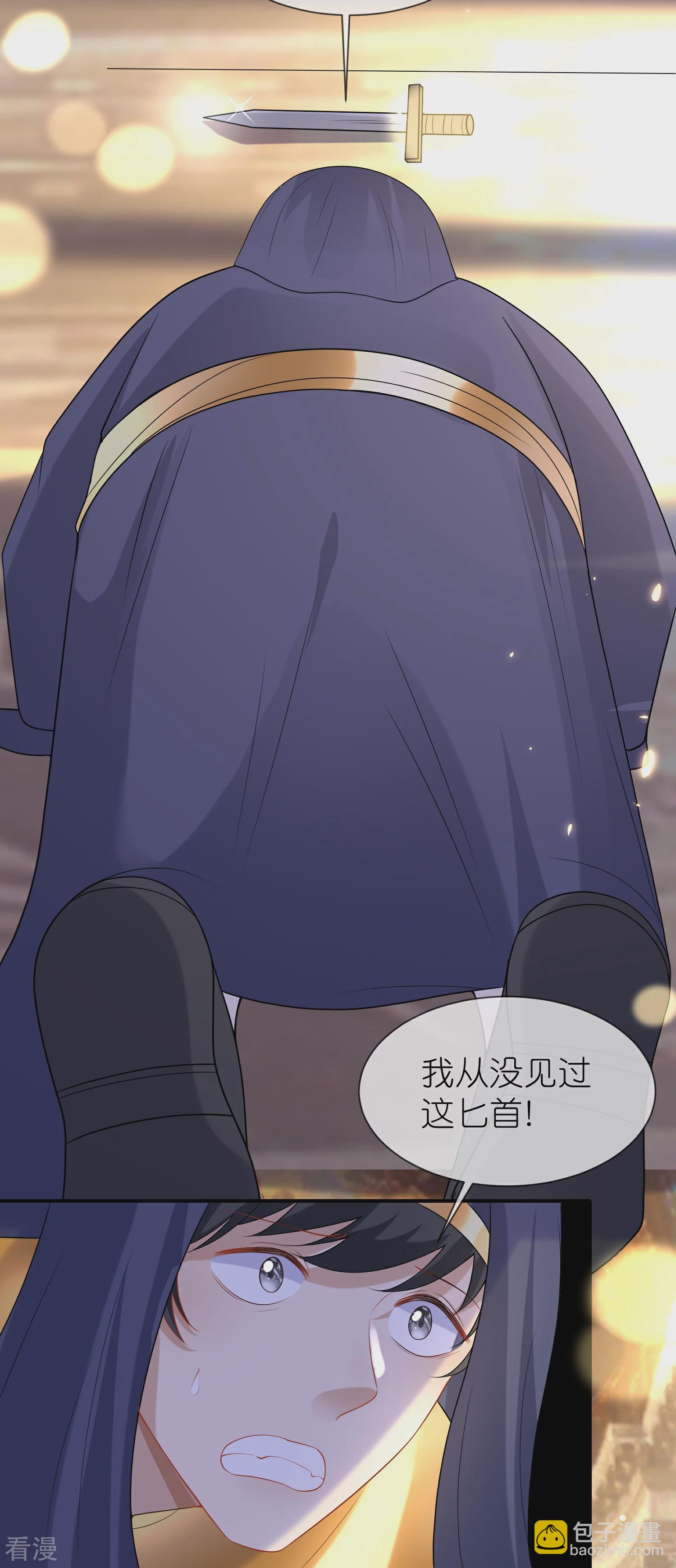 王的第一寵後 - 第175話 亂黨的輿論戰？ - 4