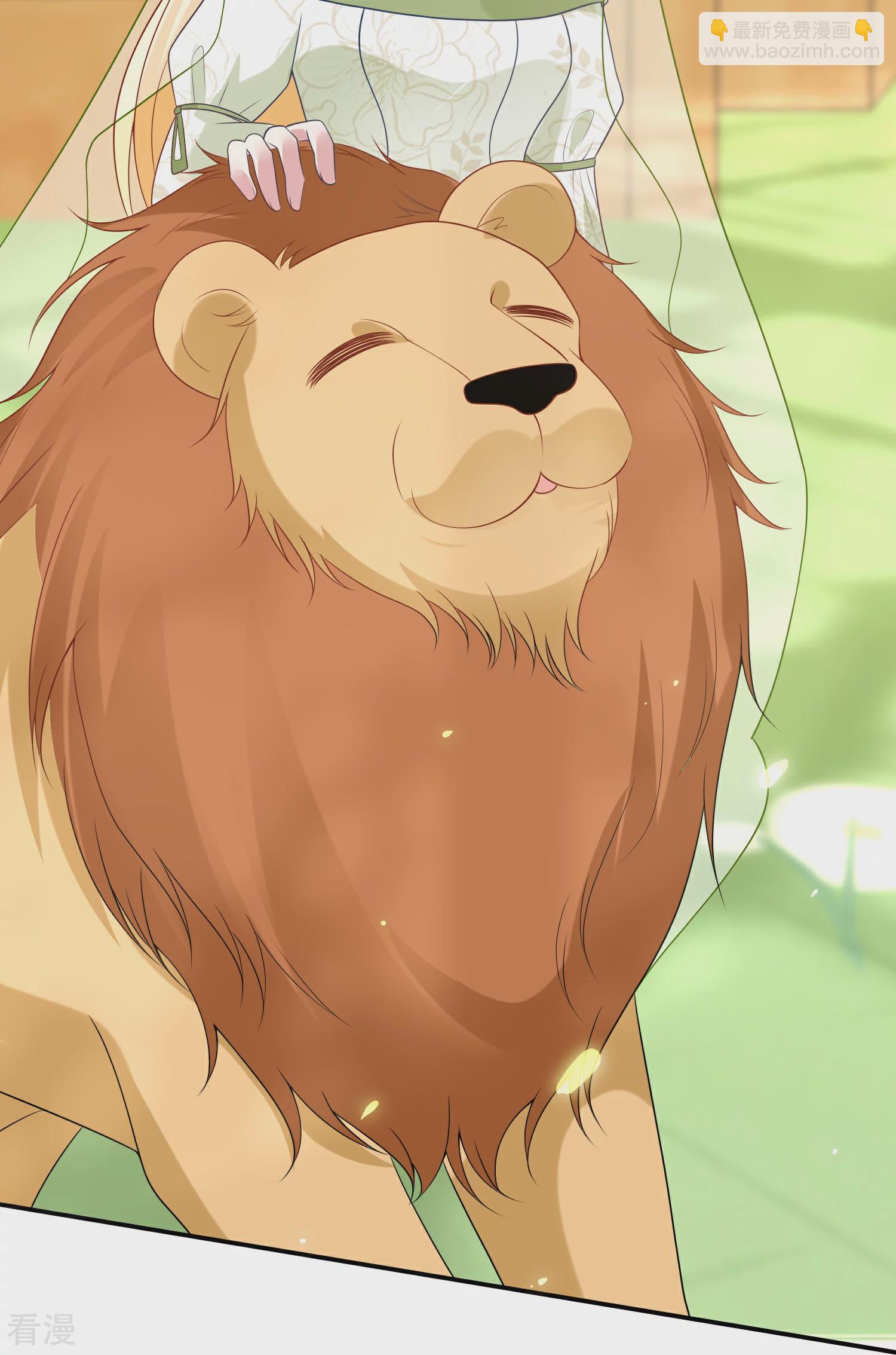 王的第一寵後 - 第178話 借獅子 - 3