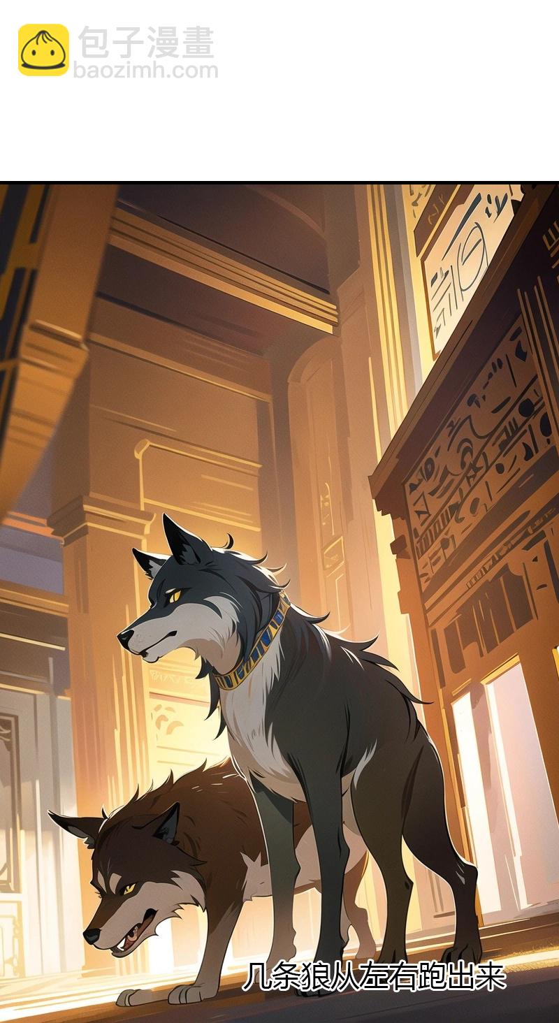 王的第一寵後 - 第196話 魔女的心事 - 4