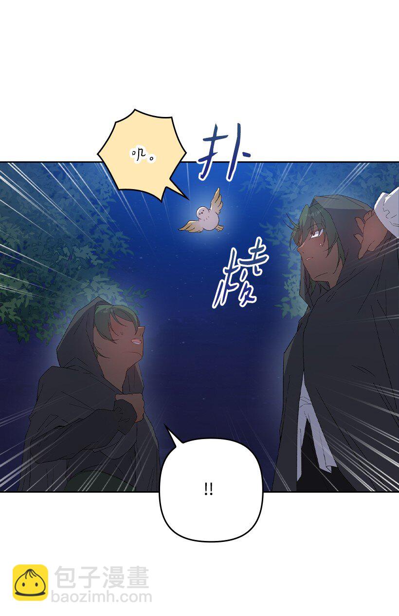 番外20 开始行动(1/2)-第178话