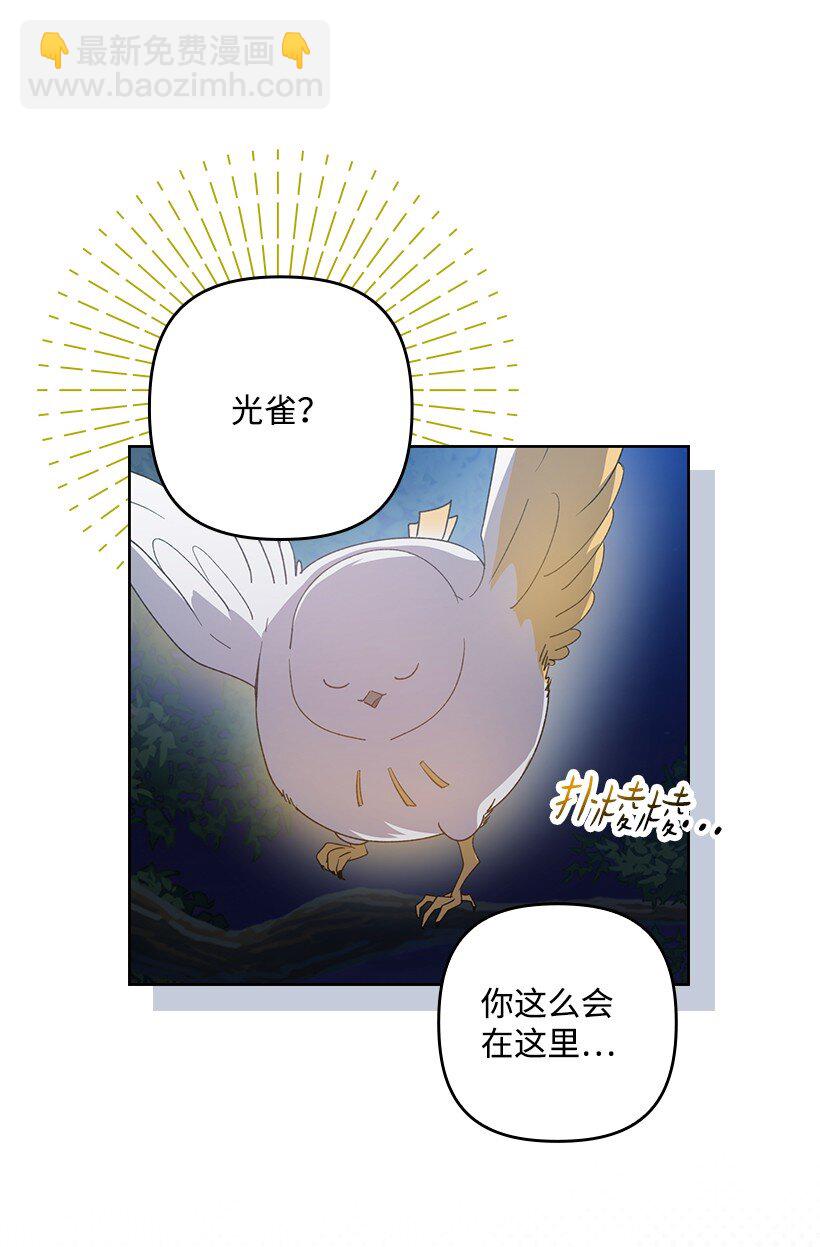 番外20 开始行动(1/2)-第178话