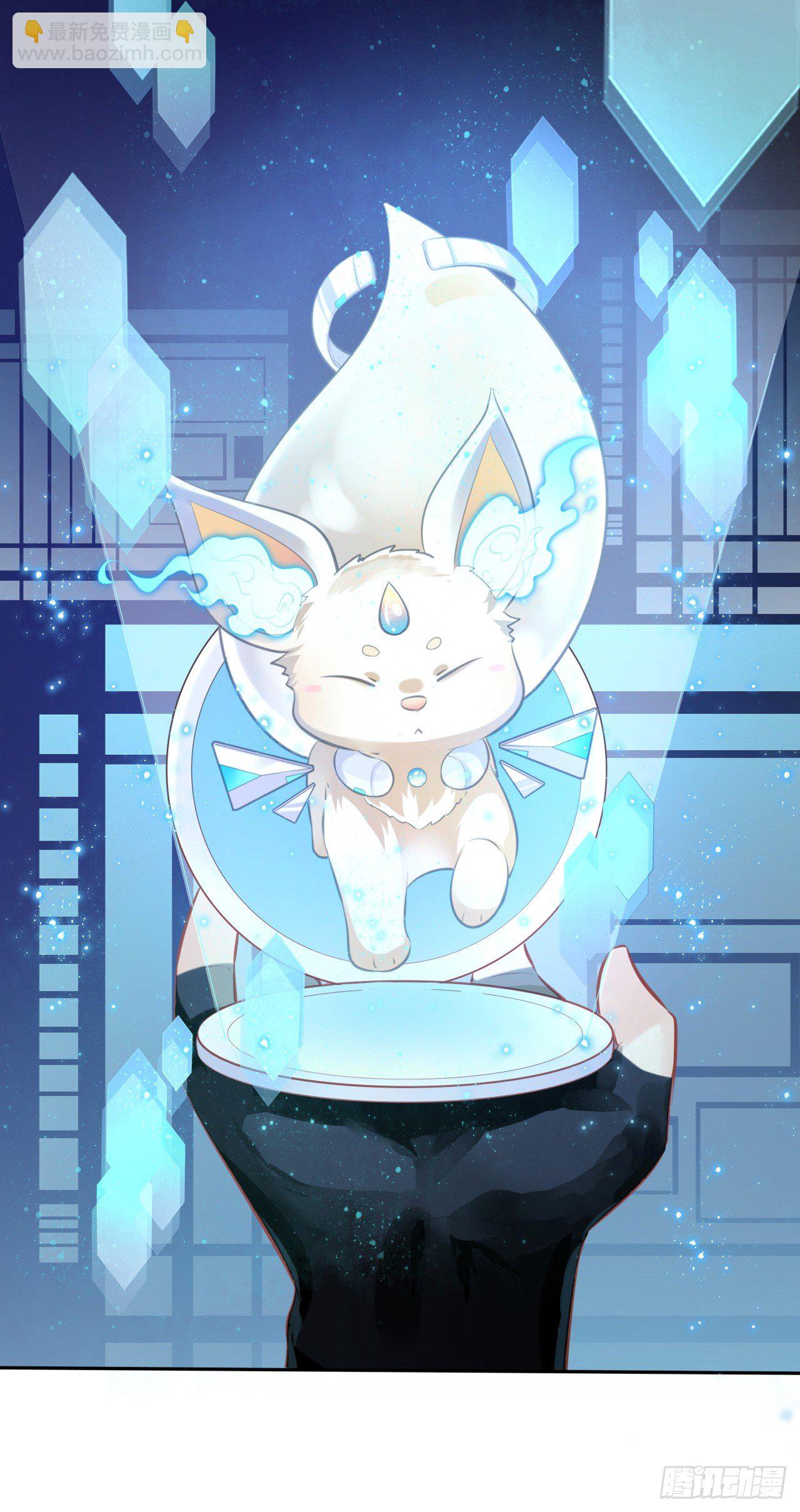 第1话：开局就洞房？？？(1/2)-第2话