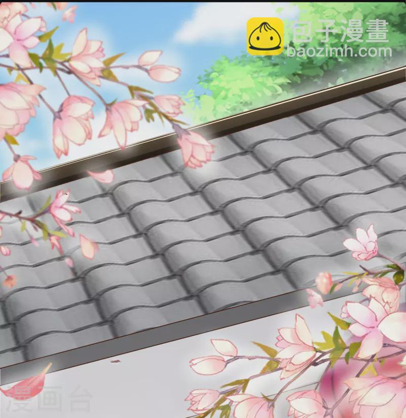 最终话 大结局 撒花～-第102话