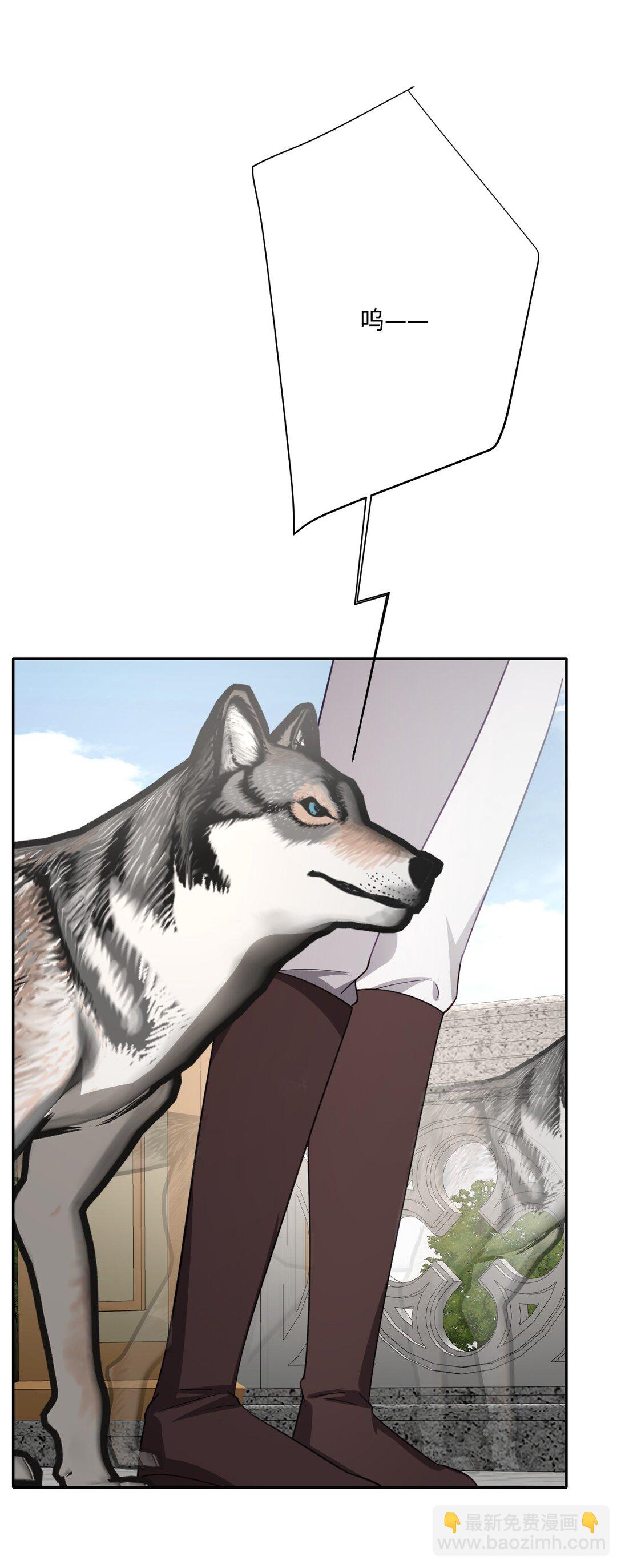 060 疯狂的奥瑟(1/2)-第62话