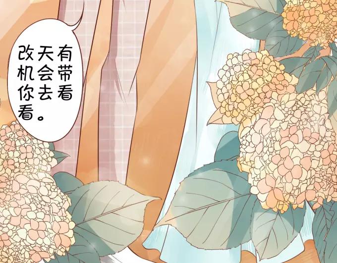 第14话(1/2)-第14话