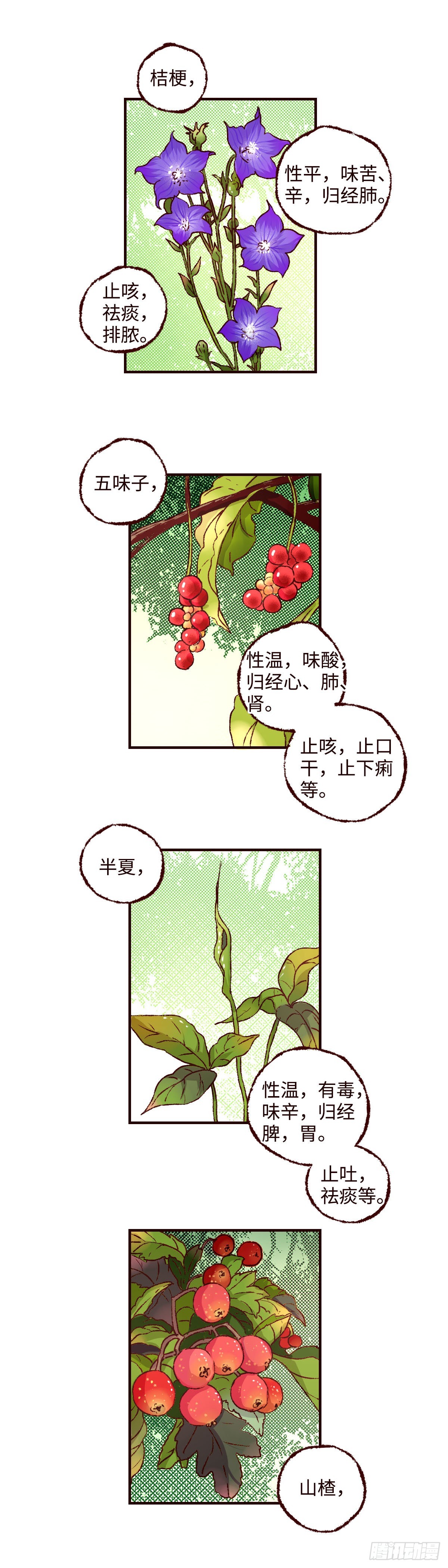 第三十五回《春游》-第36话