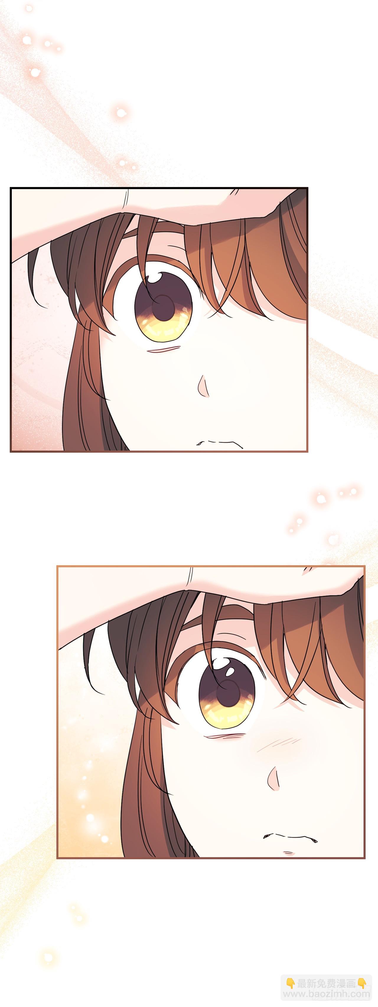 網絡小說的法則 - 240.如齡失憶（2）(1/2) - 7