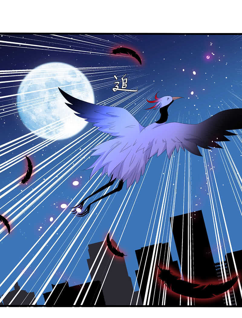 神秘女人的来电-第100话