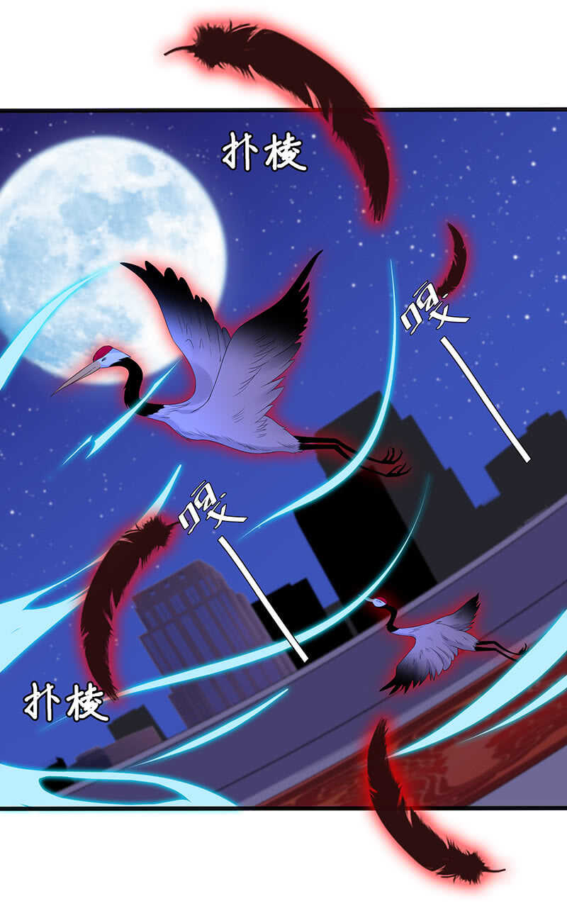 神秘女人的来电-第100话