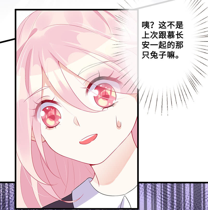 兔子，变身！(1/2)-第54话