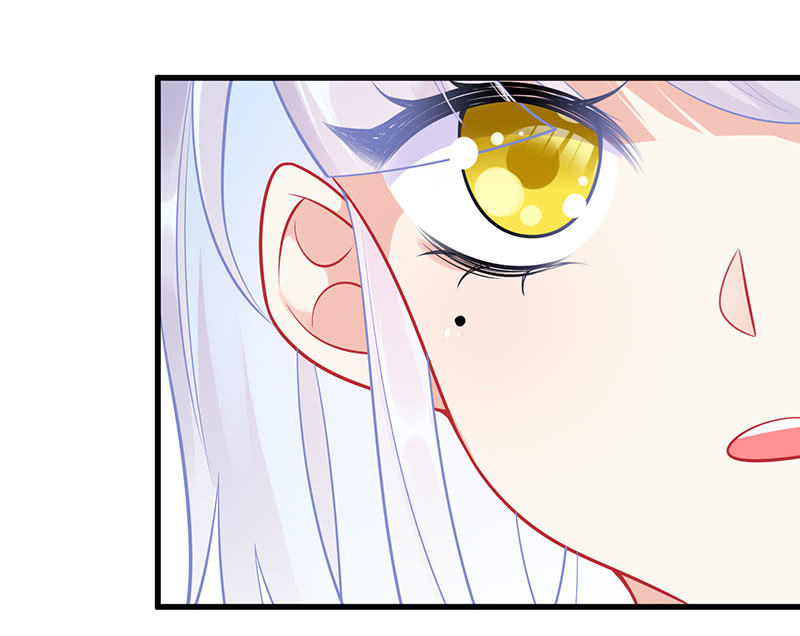 兔子，变身！(1/2)-第54话