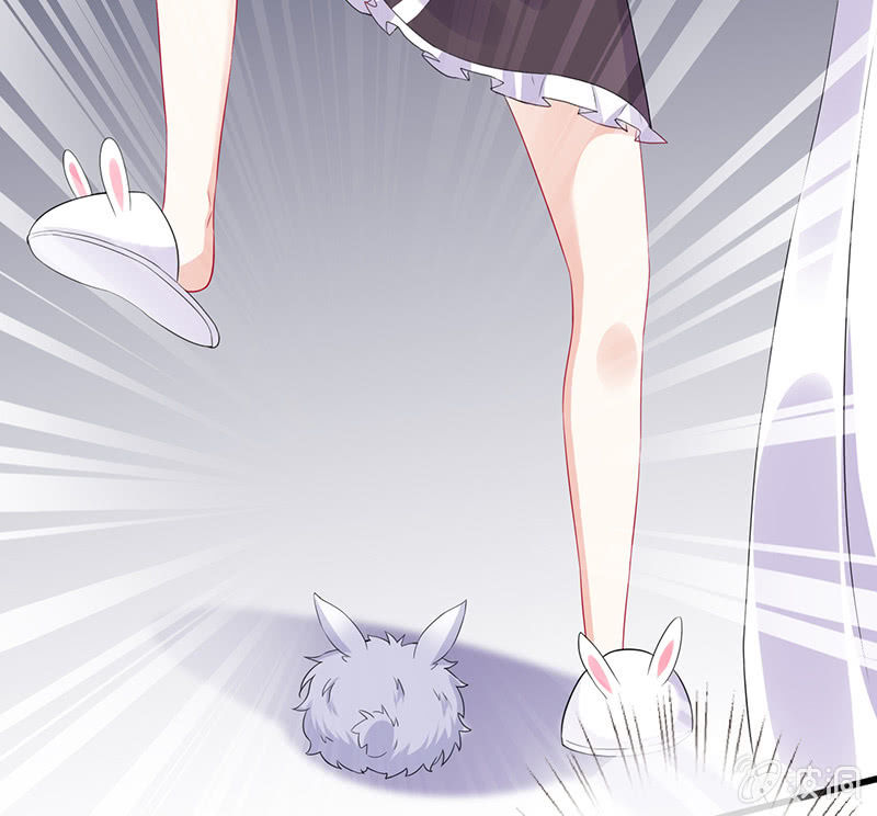 兔子，变身！(1/2)-第54话