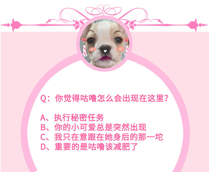 洞里的不明生物-第70话