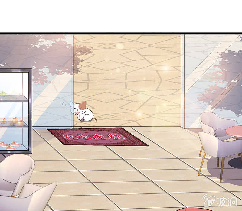 偶像的神秘身份(1/2)-第8话