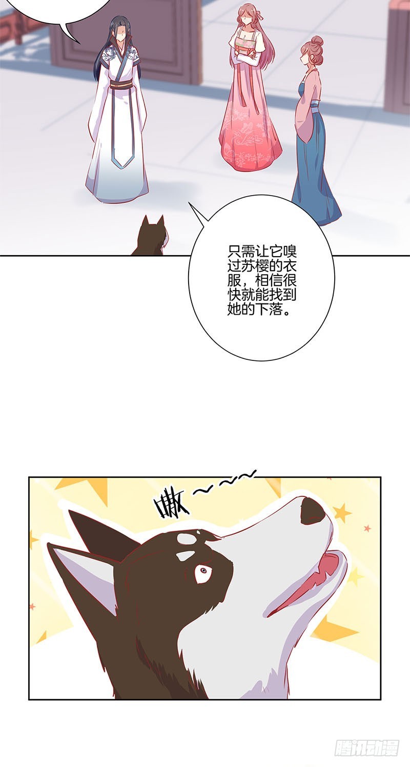 第66话 寻找苏樱-第70话