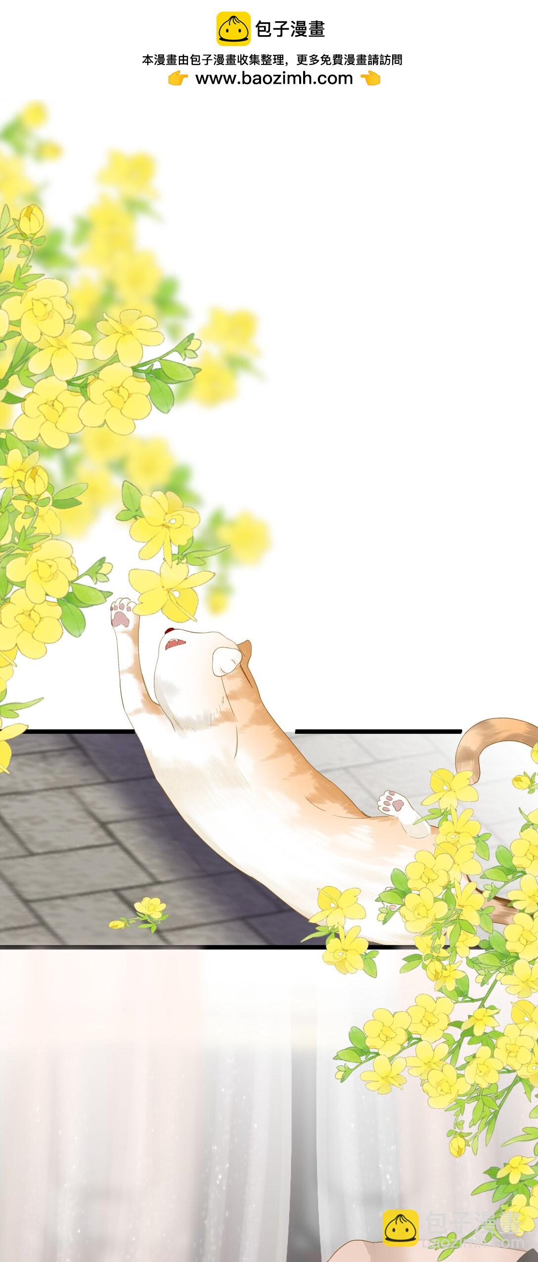 081 关于正妃(1/2)-第86话