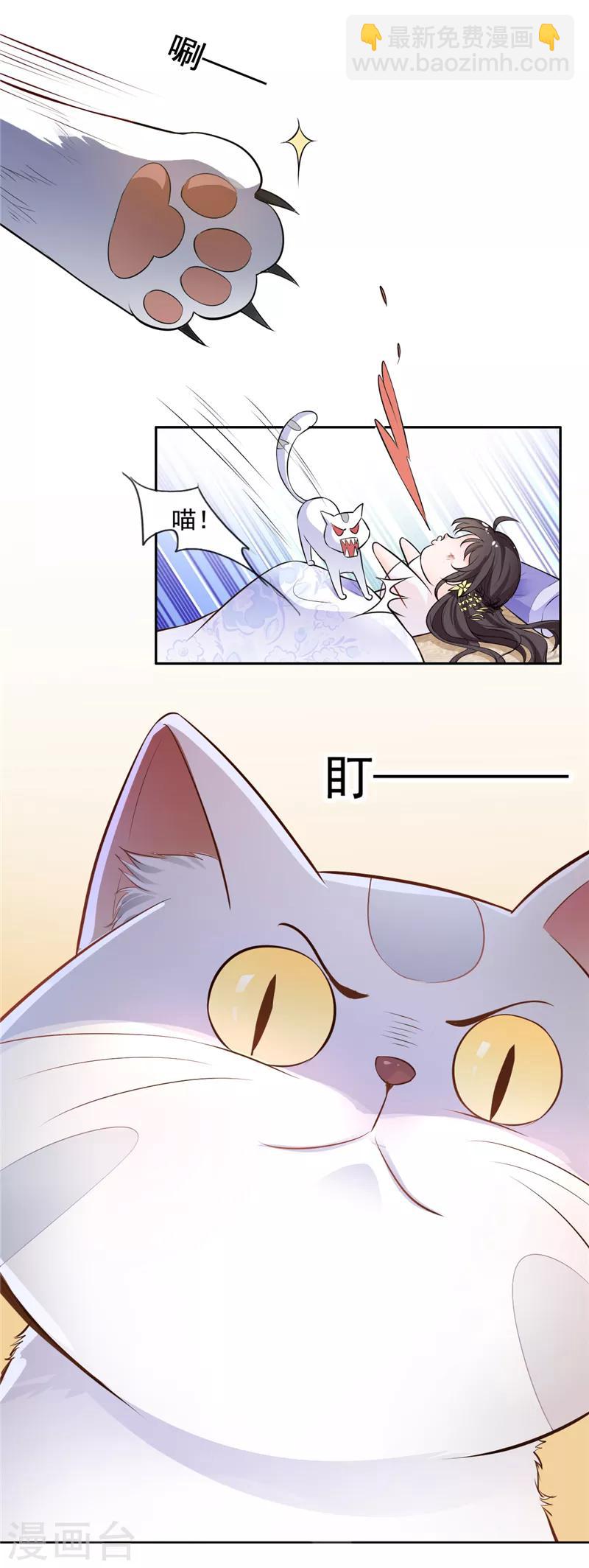 第3话 猫咪欺负亲主啊！-第4话