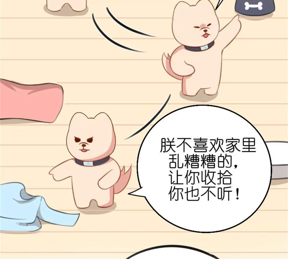 狗语翻译器(1/3)-第36话