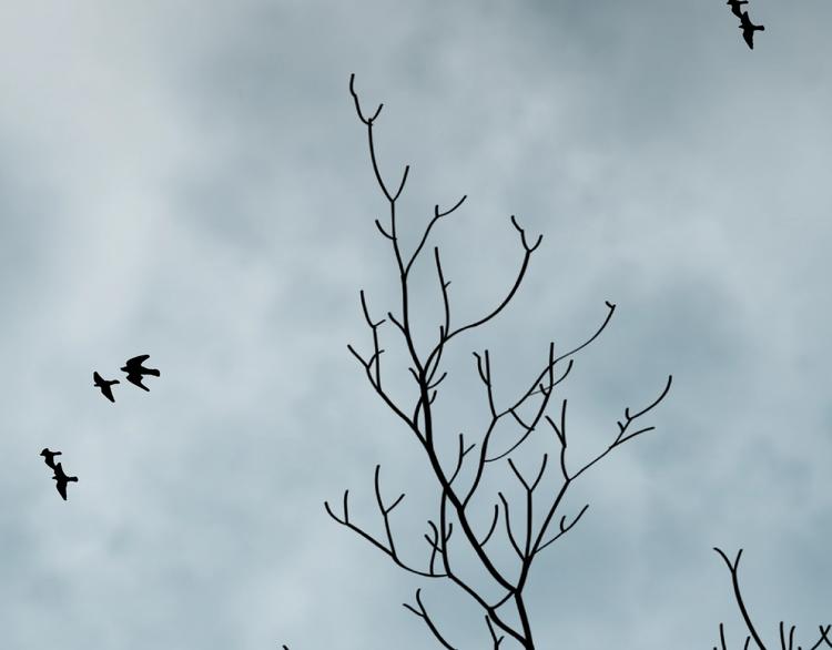 第11话  给爸爸的信！(1/4)-第12话