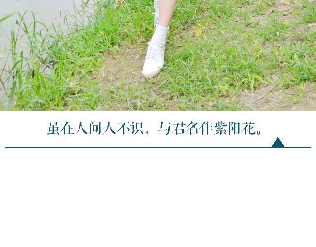 初见川黛(1/2)-第12话