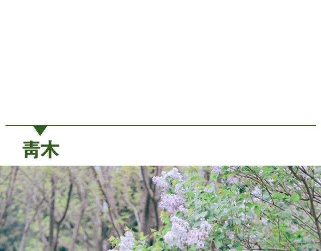 初见川黛(1/2)-第12话