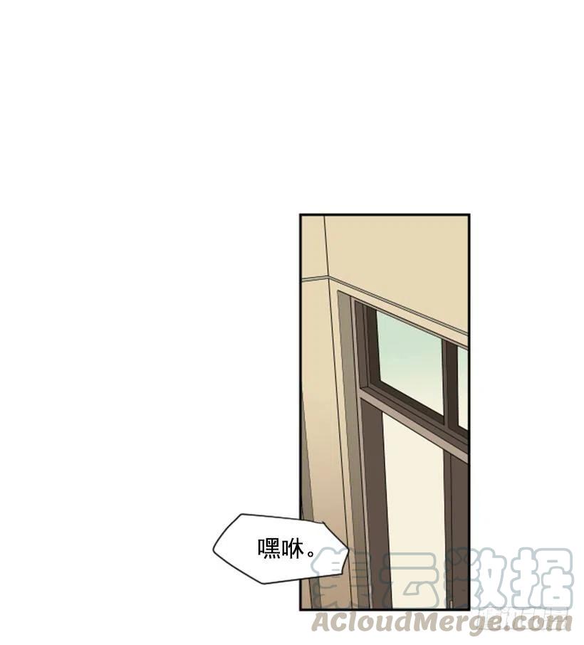 观察（3）(1/2)-第44话