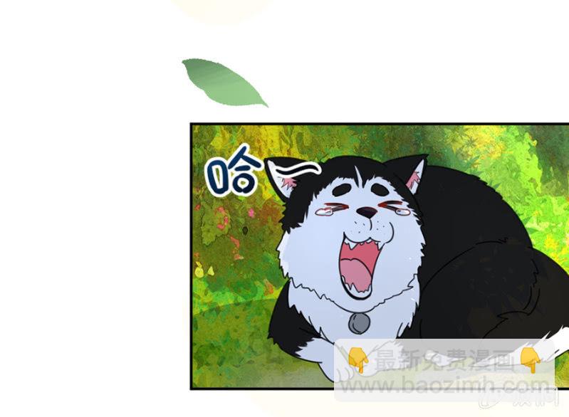 完美老公進化論 - 你居然這麼看我！ - 1