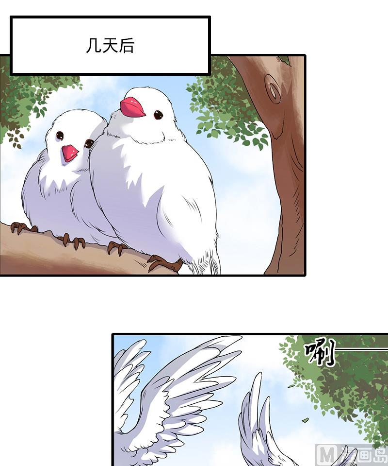 第12话 疑窦丛生-第12话