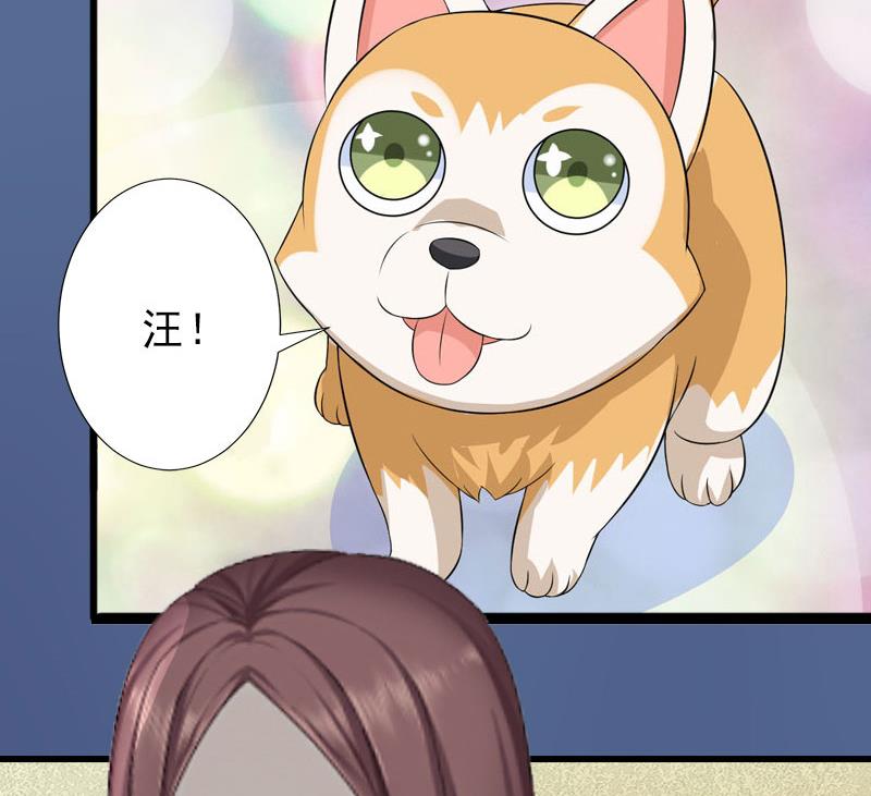 第20话 她是我霍时钦的女人-第20话