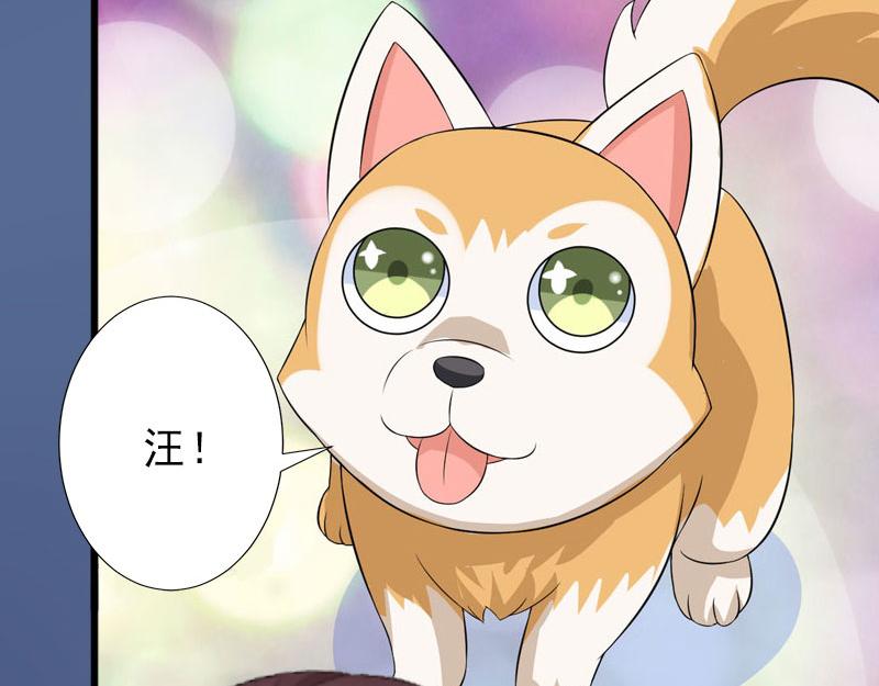 第20话 她是我霍时钦的女人(1/2)-第20话