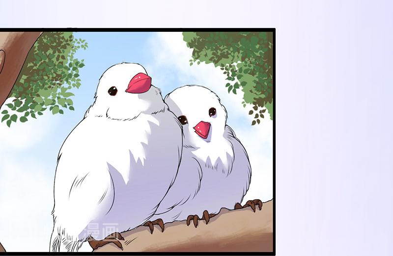 第38话 尘埃落定(1/2)-第38话