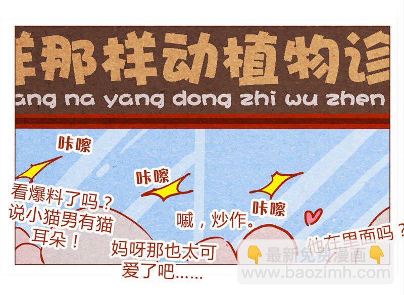 喂，看見耳朵啦 - 139話 鐵打的粉絲流水的網紅～ - 2