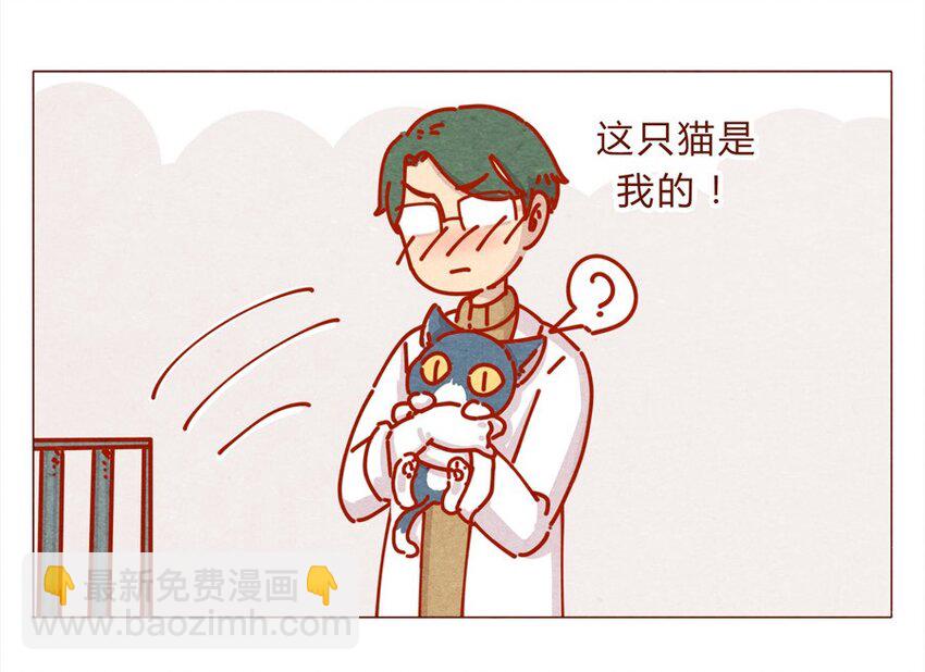 喂，看見耳朵啦 - 171話 別人家的喵！ - 3
