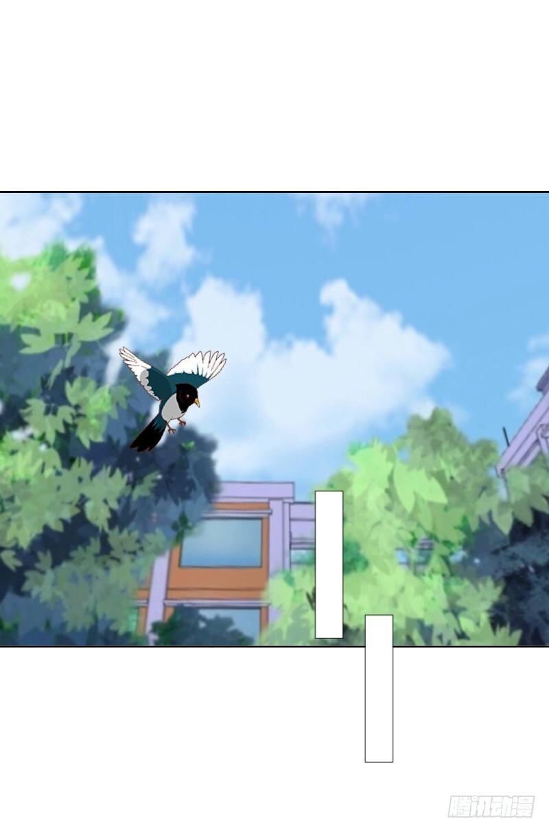 霉运不断-第4话