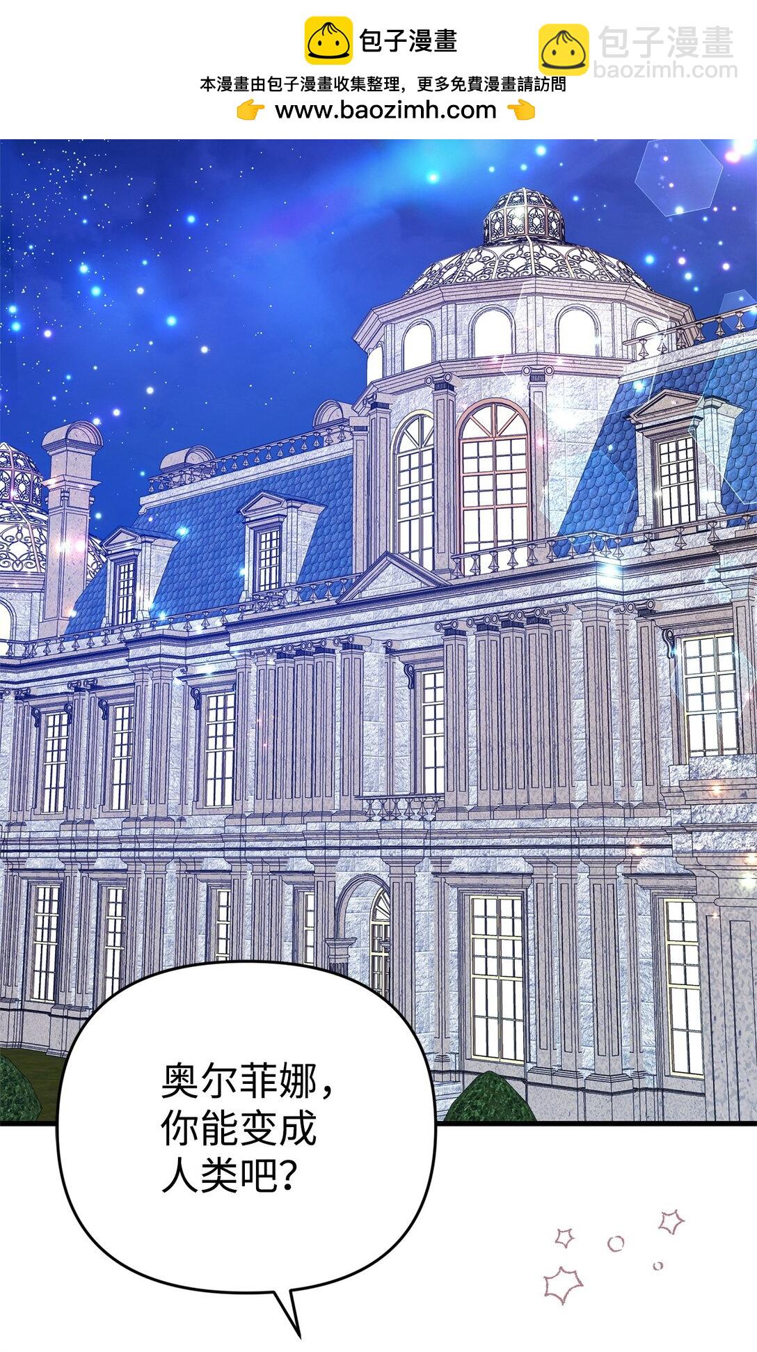 38 调查市场(1/2)-第38话