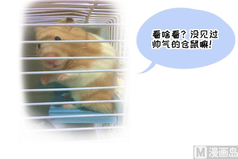 第12话 第一桶金 4-第12话