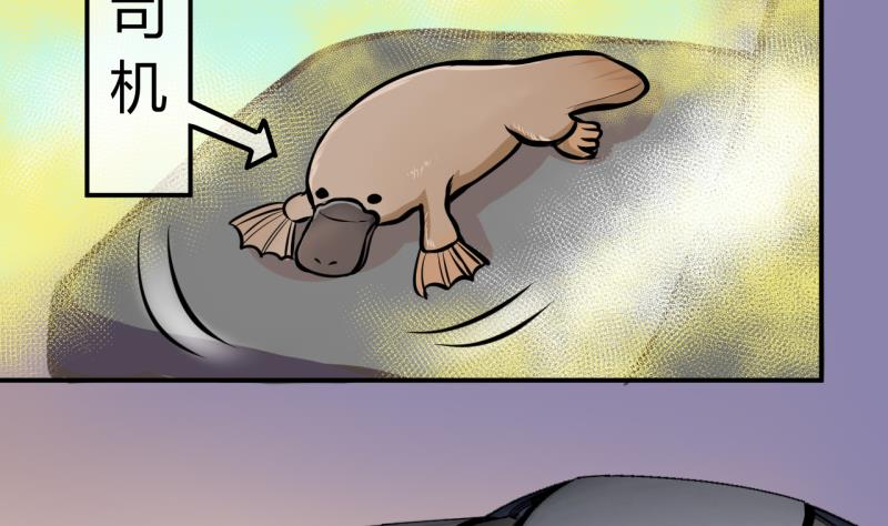 第30话 神奇的交易物品 2-第30话