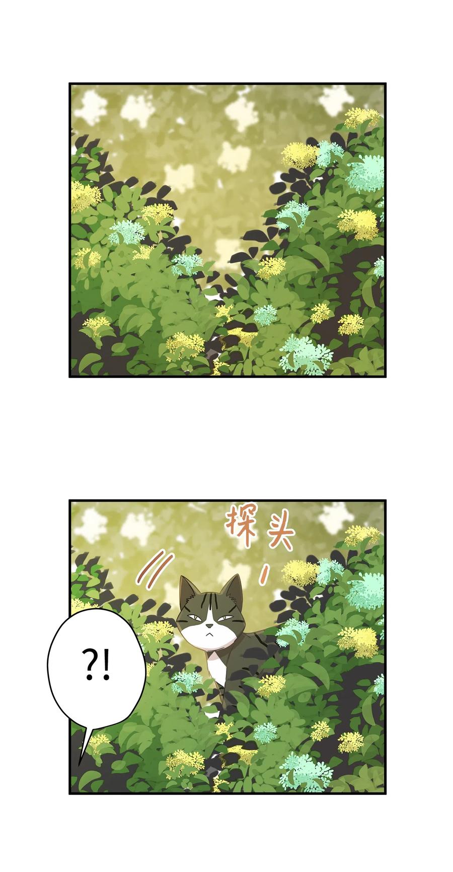 20 与权主任的不期而遇(1/2)-第20话