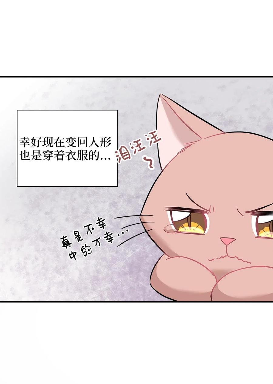 22 真相大白(1/2)-第22话