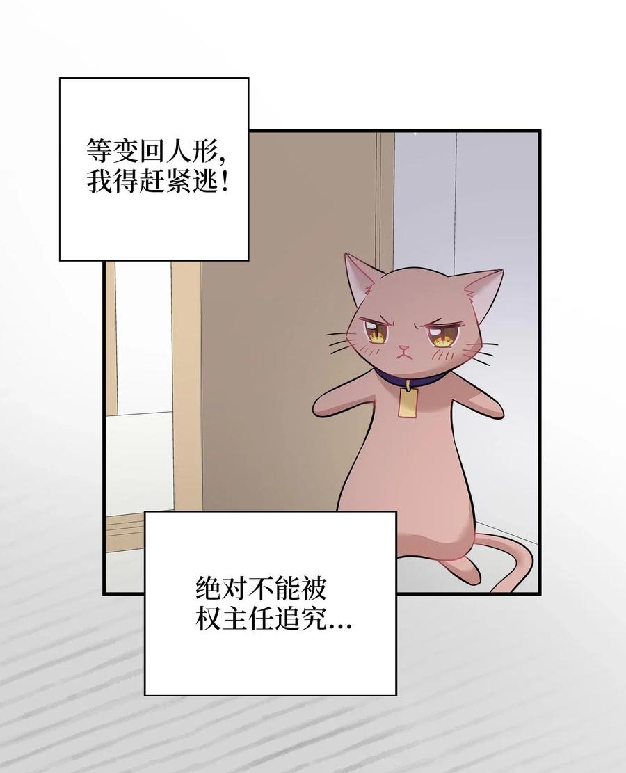 22 真相大白(1/2)-第22话